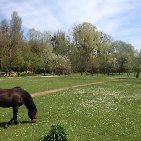 La Pierre Levee Lejlighed Montigny-sur-Loing Eksteriør billede