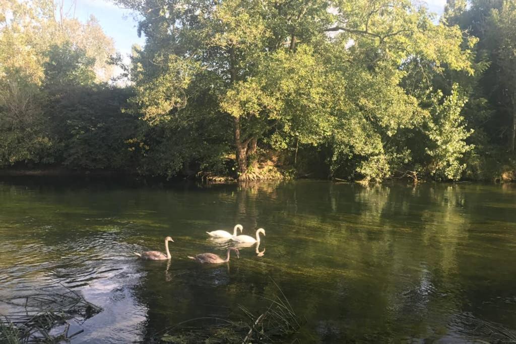La Pierre Levee Lejlighed Montigny-sur-Loing Eksteriør billede