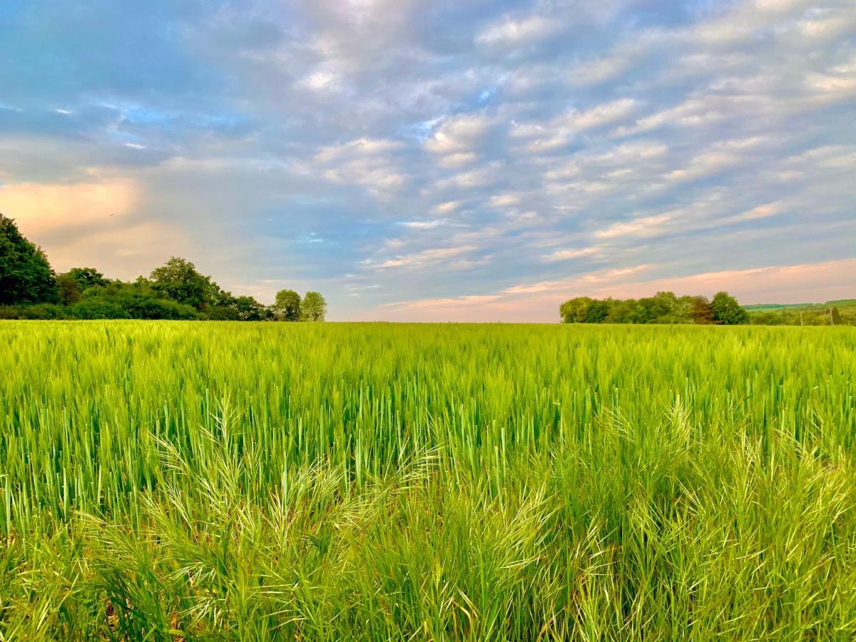 La Pierre Levee Lejlighed Montigny-sur-Loing Eksteriør billede